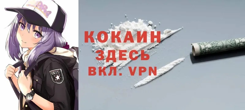 мега tor  цена   Коломна  Cocaine 97% 